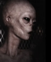 Alien crash survivor
