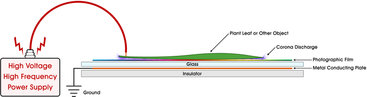Typical Kirlian photography setup (cross section)